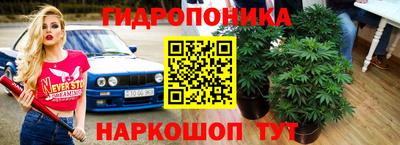 спиды Волгодонск
