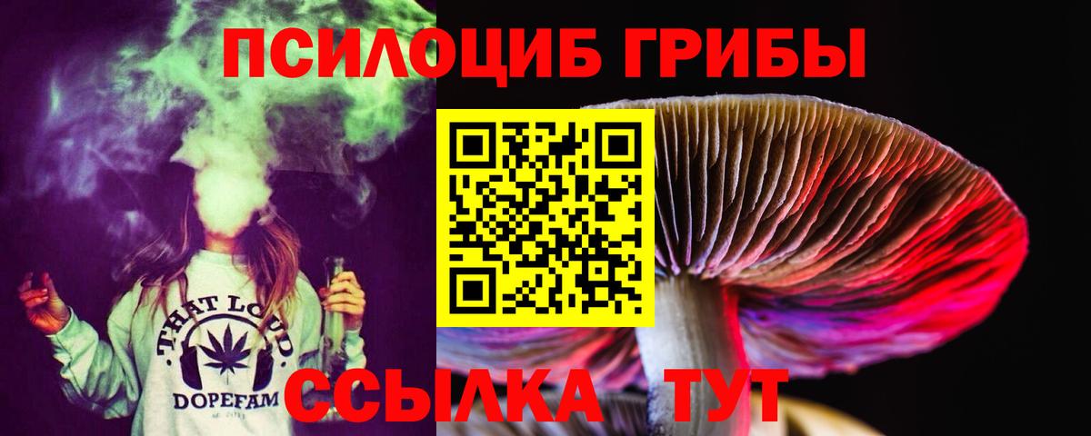 Раменское  Галлюциногенные грибы Psilocybe  купить   Галлюциногенные грибы Cubensis  Вход с VPN 